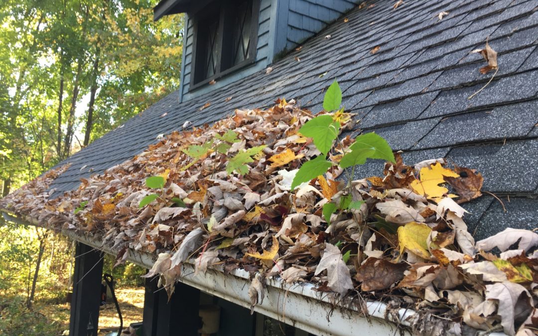 3 Reasons Why You Should Get Your Gutters Cleaned