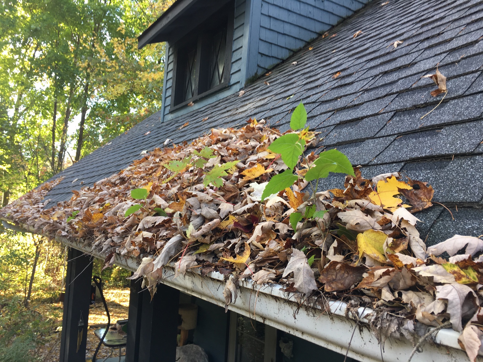 3 Reasons To Get Your Gutters Cleaned | Home Maintenance