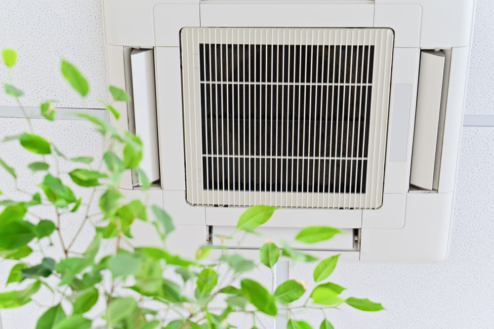3 Ways Improve Your Indoor Air Quality