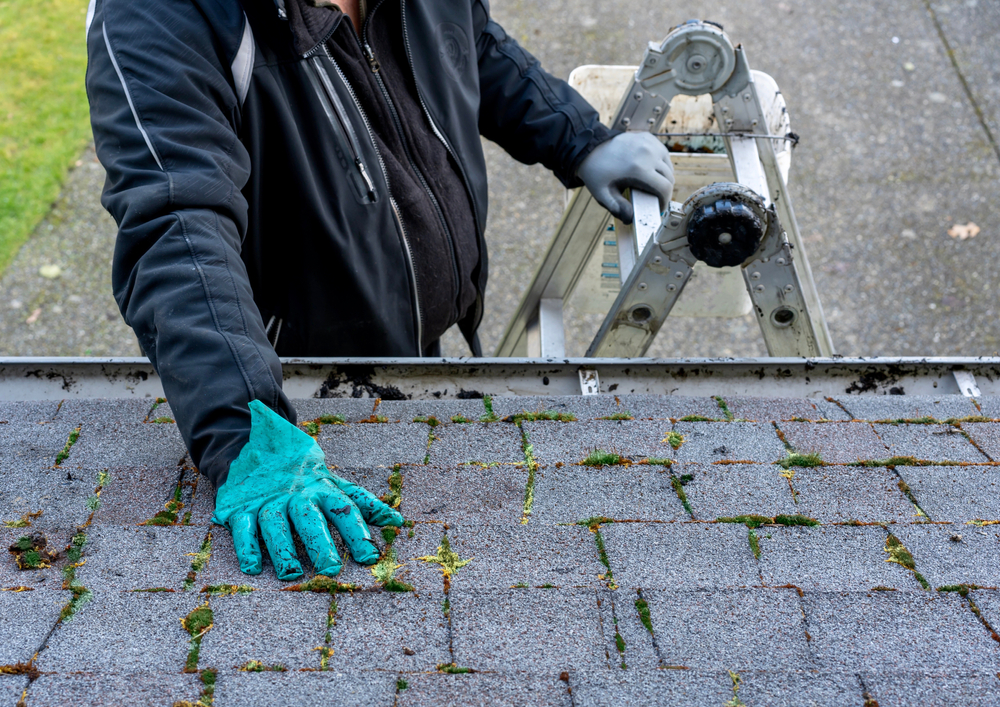 roof inspection with moss on roof