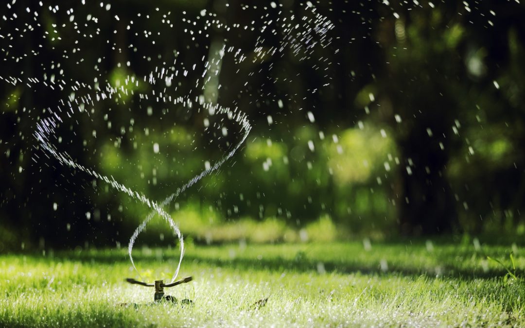 Tips and Tricks to Maintain Your Outdoor Sprinkler System