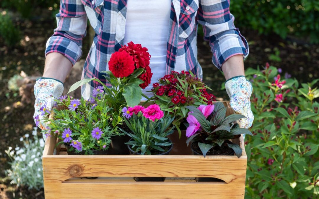 5 Home Gardening Tips